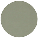 Color Option 1